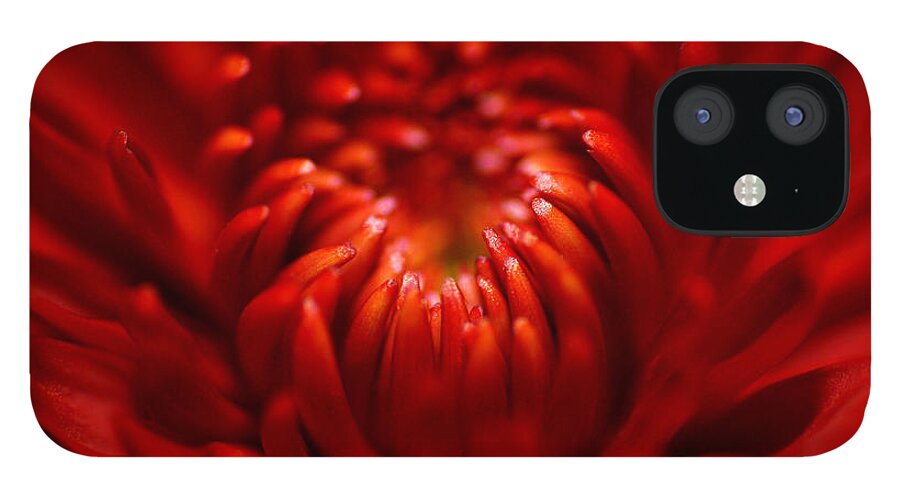 Photograph iPhone 12 Case featuring the photograph Mum #1 by Larah McElroy