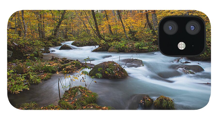  Landscape iPhone 12 Case featuring the photograph Oirase stream in Fall color #1 by Hisao Mogi