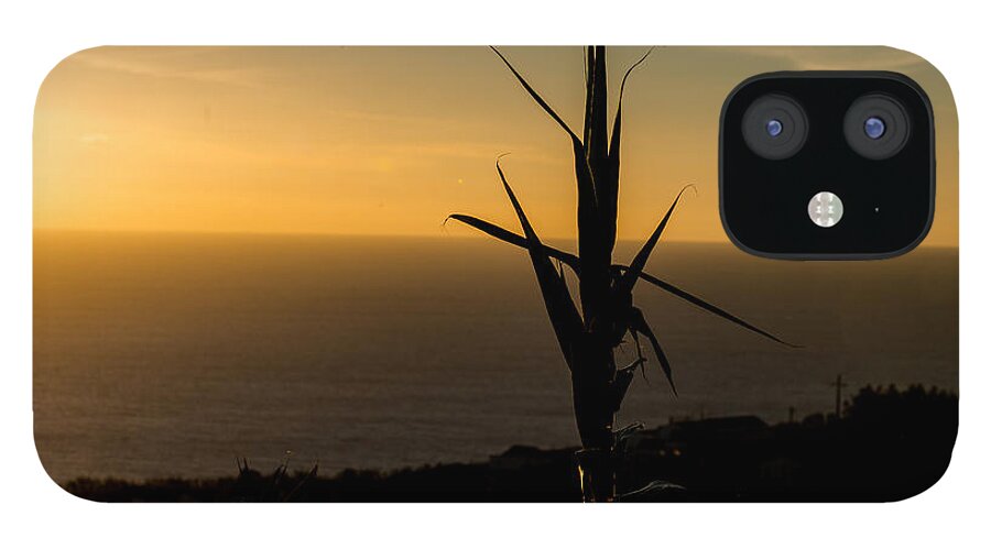 Art iPhone 12 Case featuring the photograph One at Sunset #1 by Joseph Amaral