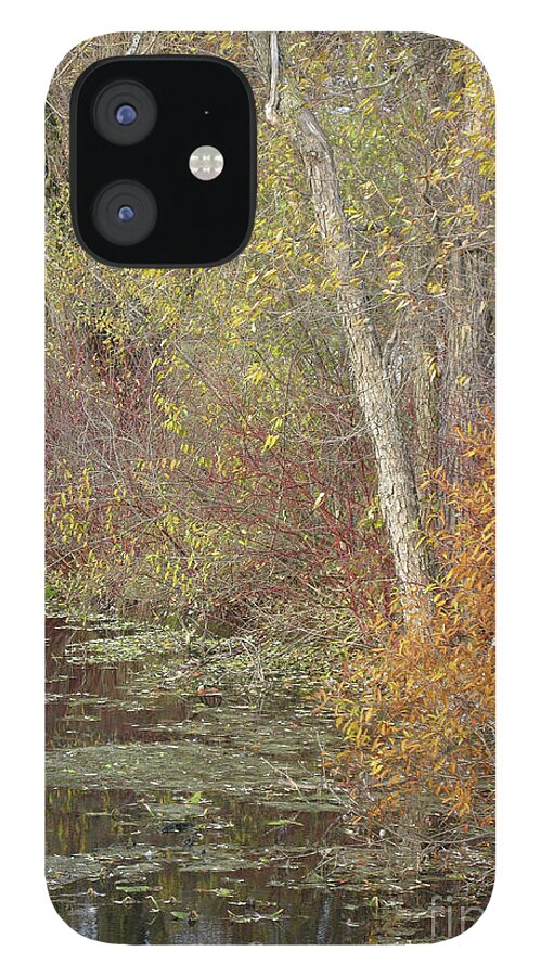 Autumn iPhone 12 Case featuring the photograph Pondside Pastel by Ann Horn