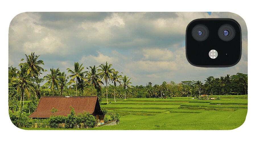 Scenics iPhone 12 Case featuring the photograph Rice Field, Bali, Indonesia #1 by Bob Pool
