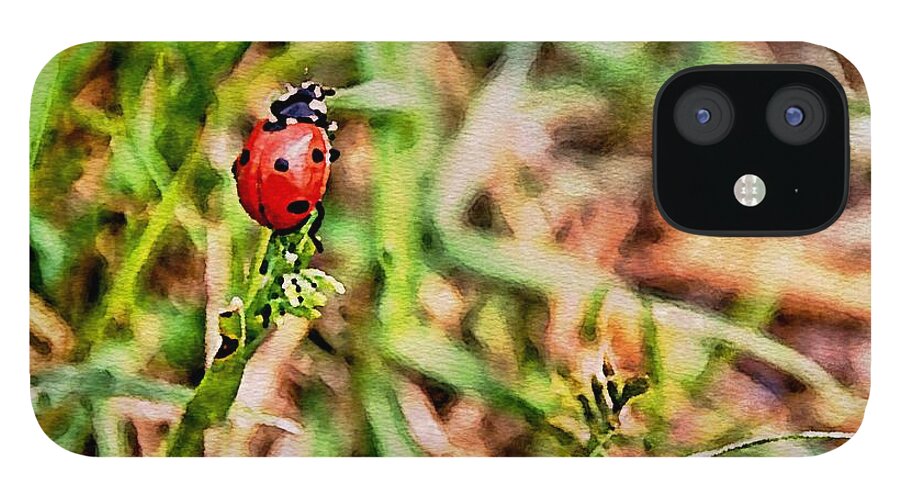 Ady Bug iPhone 12 Case featuring the photograph Spring Lady WC by Ken Williams