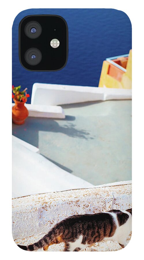 Greece iPhone 12 Case featuring the photograph Street Cat On The Wall In Mykonos #1 by Deimagine