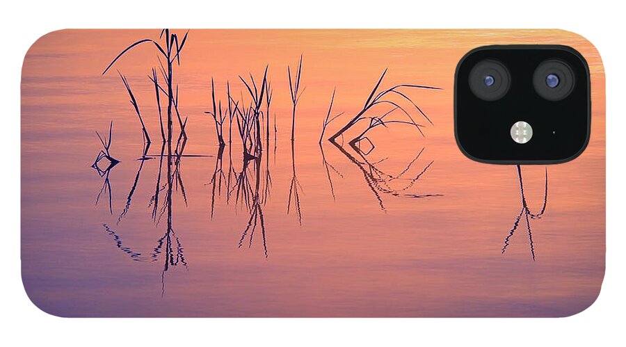 Photography iPhone 12 Case featuring the photograph Sunrise Grass Reflections #1 by Jane Axman