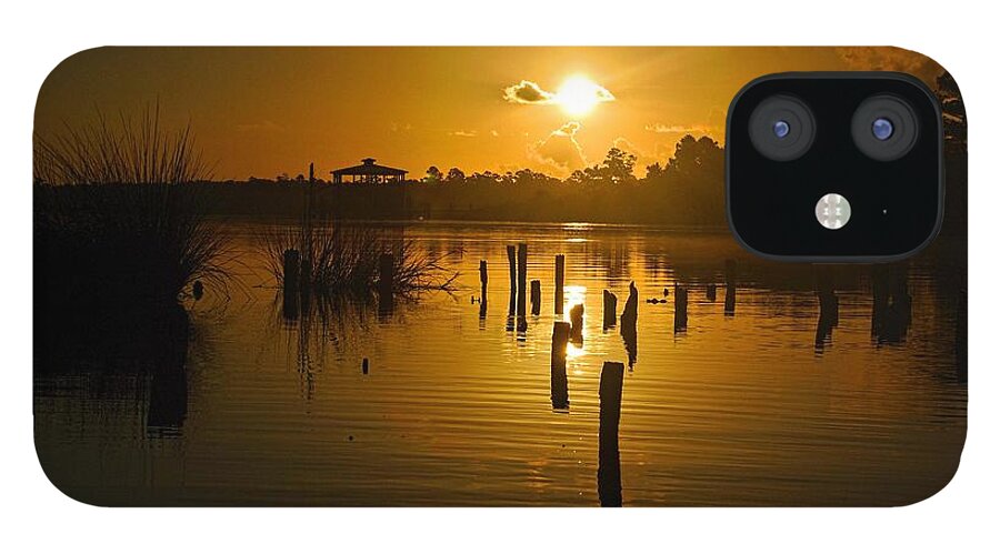 Palm iPhone 12 Case featuring the digital art Sunrise on the Bon Secour River #1 by Michael Thomas