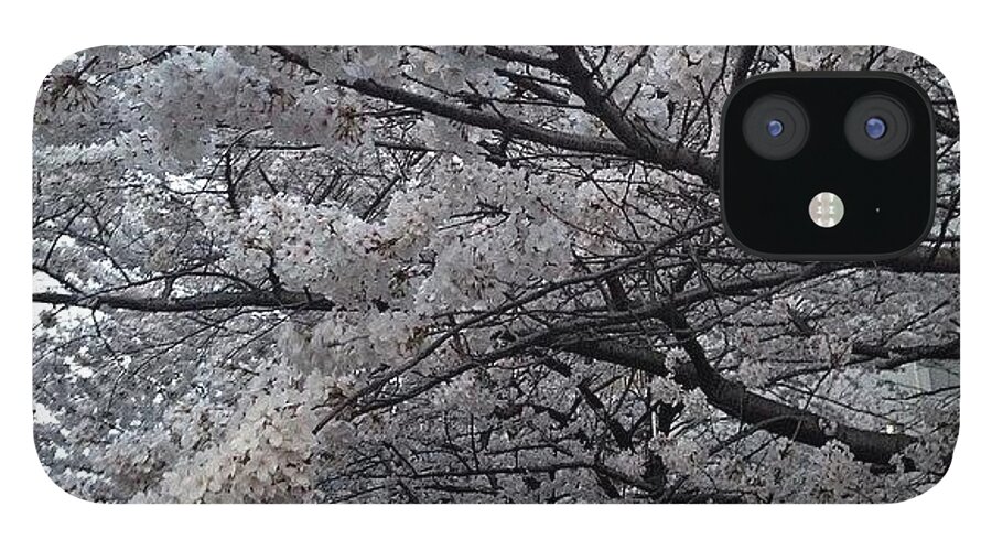 Landscape iPhone 12 Case featuring the photograph #landscape Cherryblossoms #14 by Tokyo Sanpopo