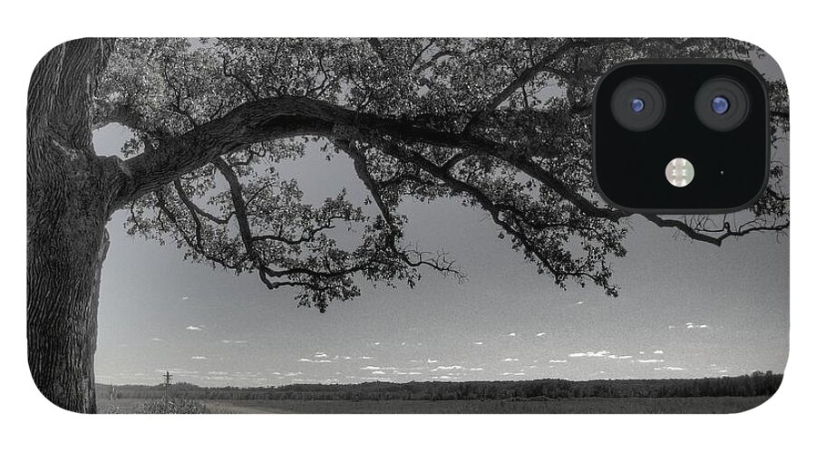 Bur Oak Tree iPhone 12 Case featuring the photograph Burr Oak Tree #2 by Jane Linders