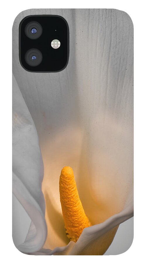 Flower iPhone 12 Case featuring the photograph Calla Lily #5 by Alexander Fedin