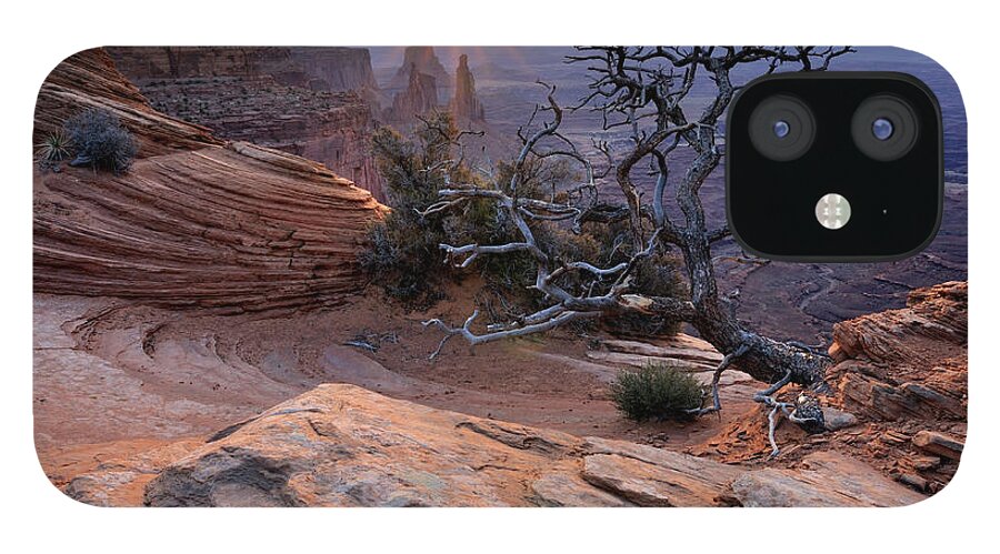 Scenics iPhone 12 Case featuring the photograph Canyonlands Sunrise Landscape With Dry #2 by Rezus