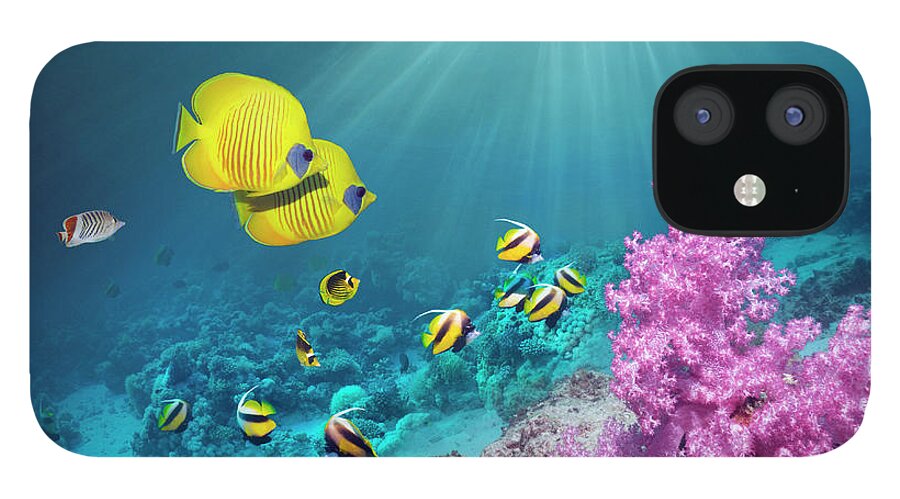 Tranquility iPhone 12 Case featuring the photograph Coral Reef With Butterflyfish #2 by Georgette Douwma