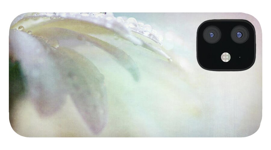 Daisy iPhone 12 Case featuring the photograph Daisy Drops #2 by Sylvia Cook