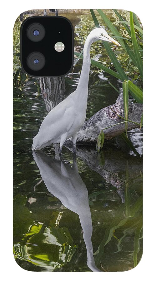 Great iPhone 12 Case featuring the digital art Great Egret #2 by Photographic Art by Russel Ray Photos