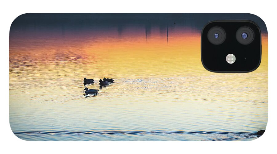 Panoramic iPhone 12 Case featuring the photograph Lake Sunset #2 by Deimagine