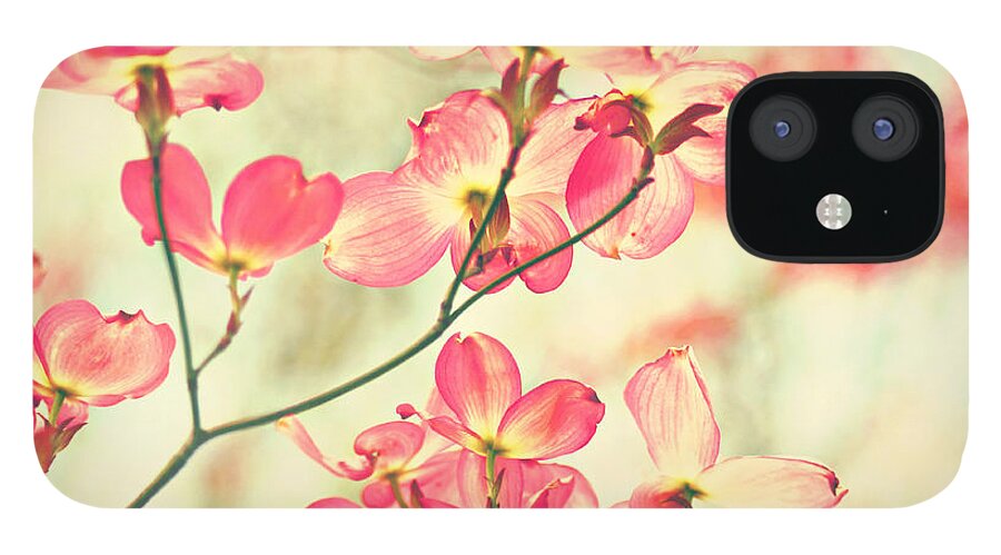 Dogwood iPhone 12 Case featuring the photograph Morning Light #2 by Sylvia Cook