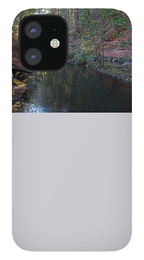 Snow iPhone 12 Case featuring the photograph West Fork #4 by Tam Ryan