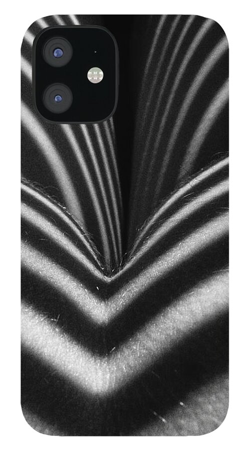 Nude iPhone 12 Case featuring the photograph 2621 Zebra Woman Closeup by Chris Maher