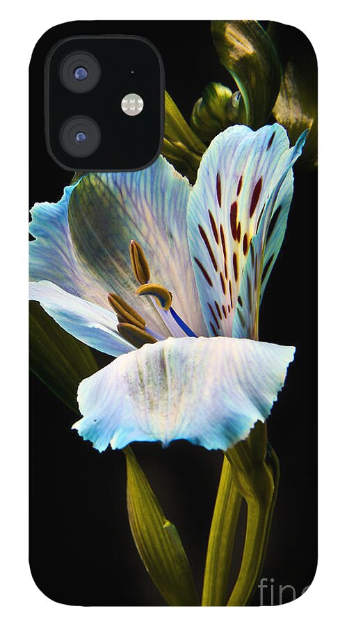 Flowers iPhone 12 Case featuring the photograph Flower #3 by Gunnar Orn Arnason