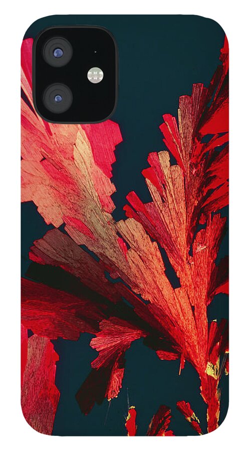 Vitamin B12 Crystals iPhone 12 Case featuring the photograph Plm Of Crystals Of Vitamin B12 #3 by Sidney Moulds/science Photo Library