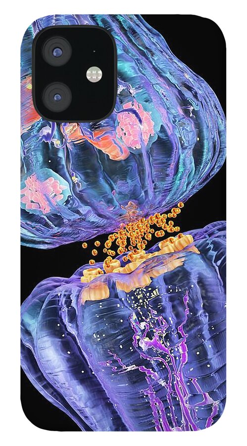 Artwork iPhone 12 Case featuring the photograph Nerve Synapse #4 by Alfred Pasieka/science Photo Library