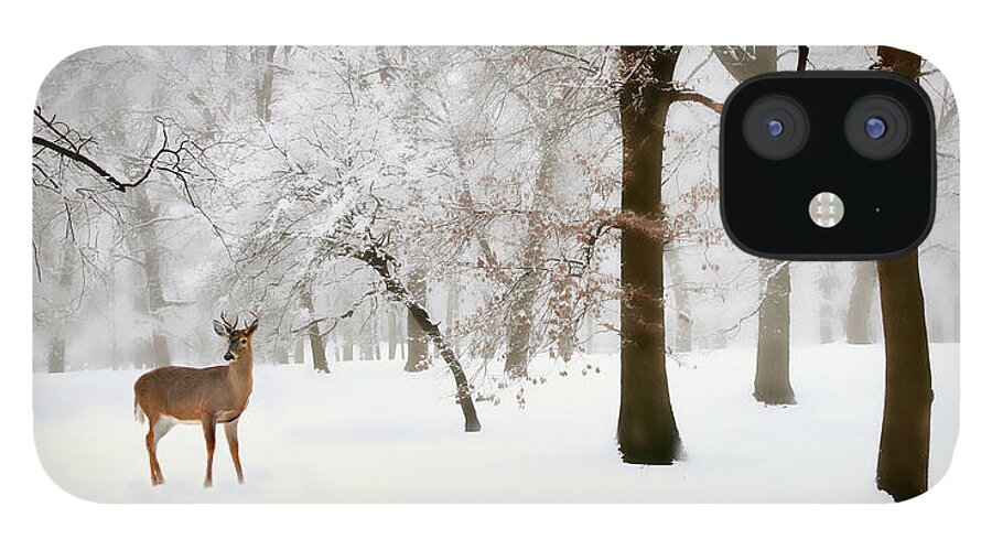 #faatoppicks iPhone 12 Case featuring the photograph Winter's Breath by Jessica Jenney