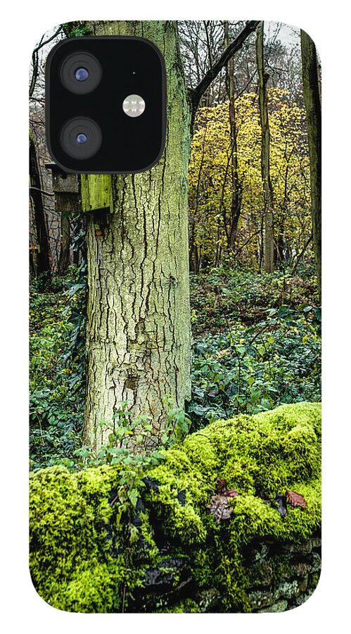 Europe iPhone 12 Case featuring the photograph A Birdhouse in the Woods by Dennis Dame