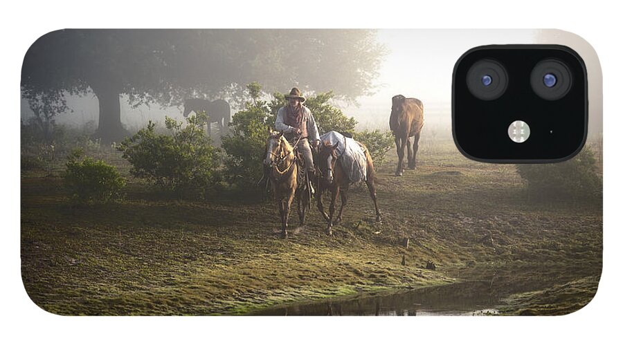 Horse iPhone 12 Case featuring the photograph A Day At Dry Creek by Linda Constant