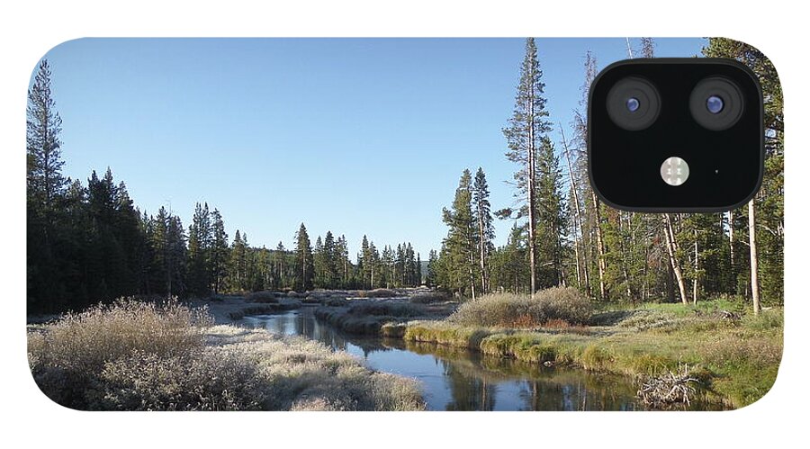 Blue iPhone 12 Case featuring the photograph A Frosty Morning Along Obsidian Creek by Frank Madia
