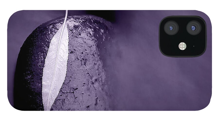 Autumn iPhone 12 Case featuring the photograph A Place To Rest by Steven Milner