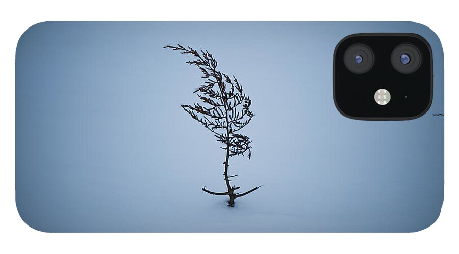 Flickr Explore iPhone 12 Case featuring the photograph A Prayer For Spring... by Dan Hefle