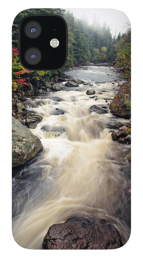 Ausable River iPhone 12 Case featuring the photograph A Touch Of Fall by Mark Papke