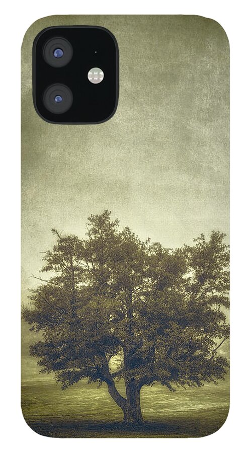 Tree iPhone 12 Case featuring the photograph A Tree in the Fog 2 by Scott Norris