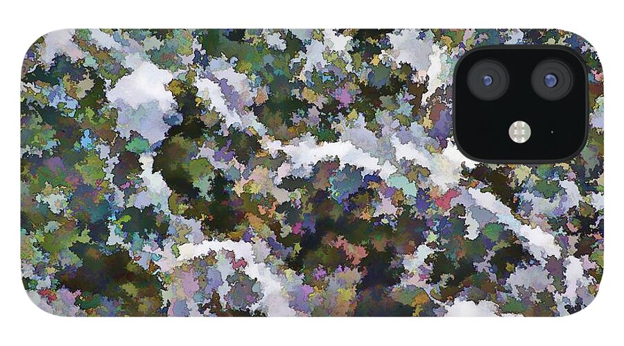 Digital Art iPhone 12 Case featuring the photograph Abstract by Ludwig Keck