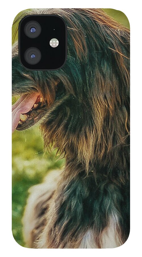 Animals iPhone 12 Case featuring the photograph Afghan Hound by Winnie Chrzanowski