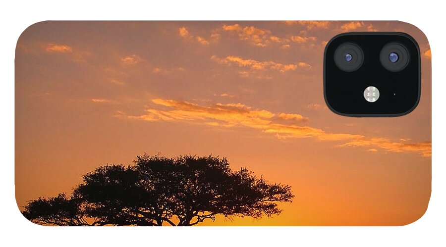 Africa iPhone 12 Case featuring the photograph African Sunset by Sebastian Musial