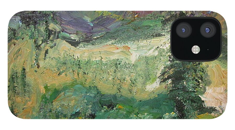 Alaska iPhone 12 Case featuring the painting Alaskan Landscape by Shea Holliman