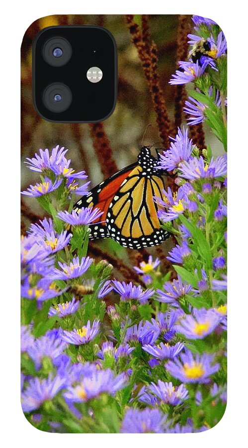 Butterfly iPhone 12 Case featuring the photograph Almost Hidden by Rodney Lee Williams