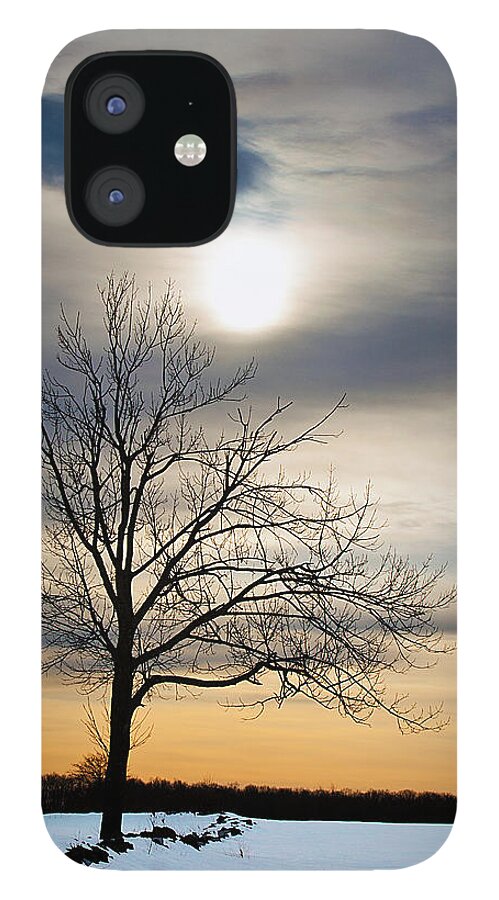 Tree iPhone 12 Case featuring the photograph Alone by David Pratt