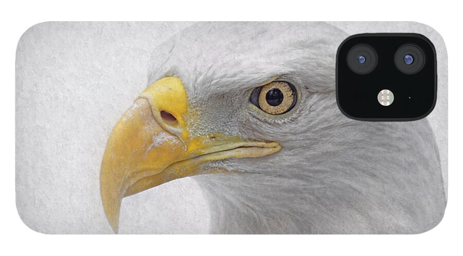 Bald Eage iPhone 12 Case featuring the photograph American Bald Eagle by Charline Xia