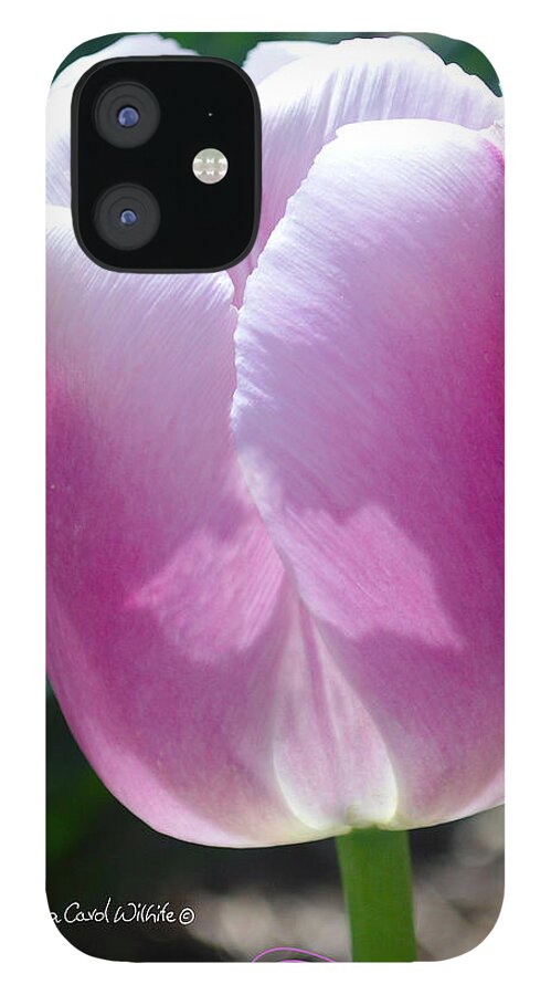 Floral iPhone 12 Case featuring the photograph An Angel Amongst Us by Lena Wilhite