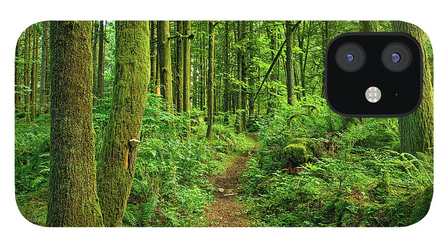 Cool Attitude iPhone 12 Case featuring the photograph Ancient Forest Path by Rontech2000