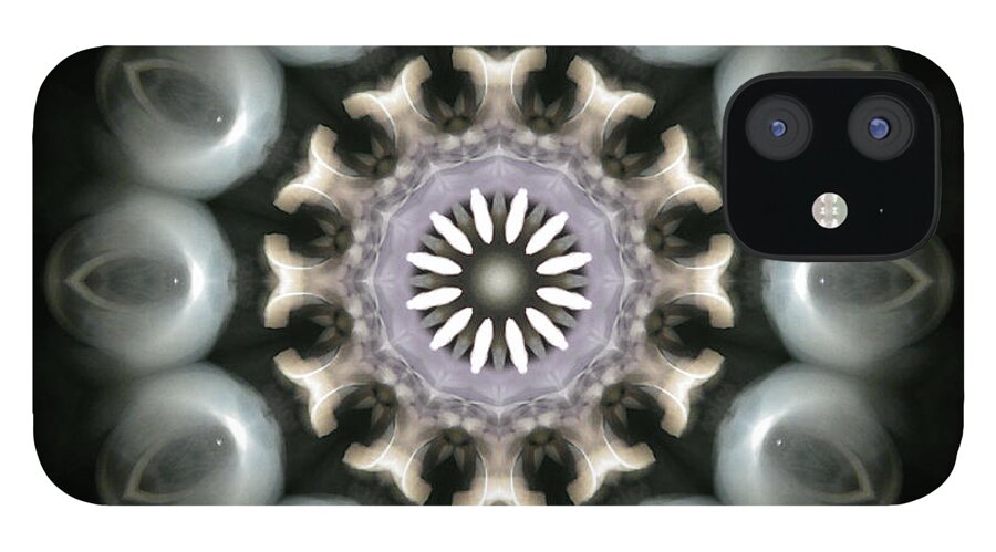 Mandala iPhone 12 Case featuring the photograph Ancient Light 3 by Lisa Lipsett
