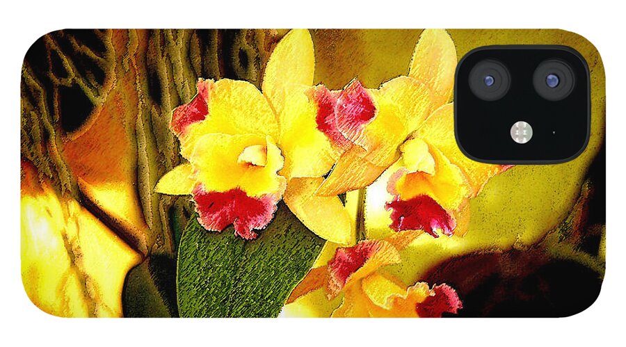 Orchid iPhone 12 Case featuring the photograph AOS Yellow Orchid 1 by Janis Lee Colon