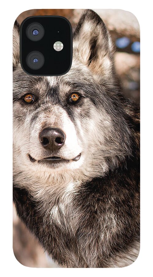 Nature iPhone 12 Case featuring the photograph Apache by Elin Skov Vaeth