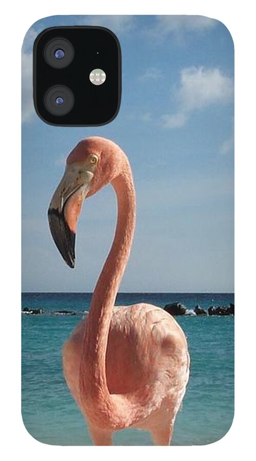 Flamingo iPhone 12 Case featuring the photograph Aruba Hairy Eyeball by HEVi FineArt