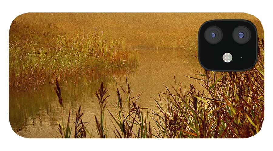 Colours Of Autumn iPhone 12 Case featuring the photograph Autumn Mist by Martyn Arnold