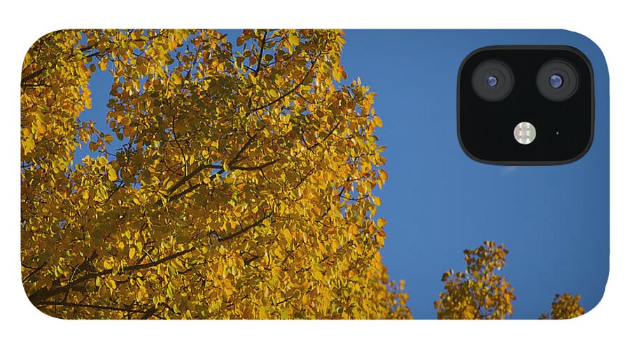 Moon iPhone 12 Case featuring the photograph Autumn Moonrise by Owen Weber