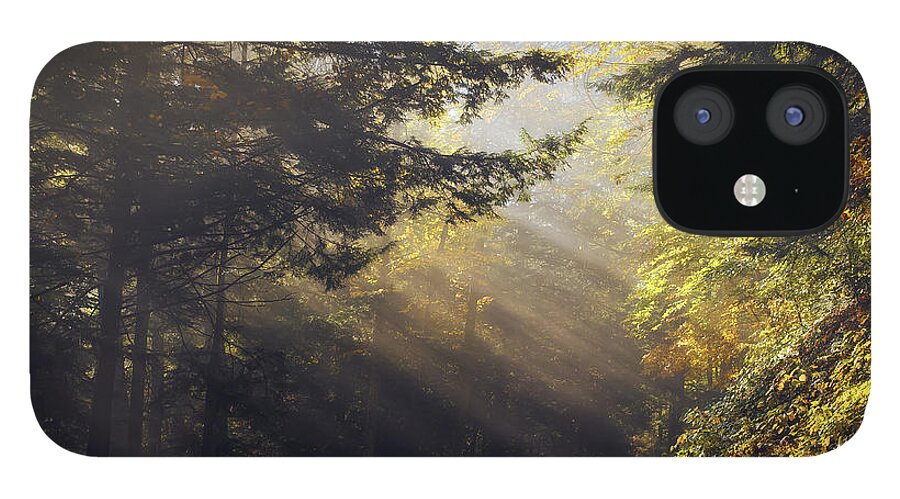 Fall iPhone 12 Case featuring the photograph Autumn Rays by Mark Papke