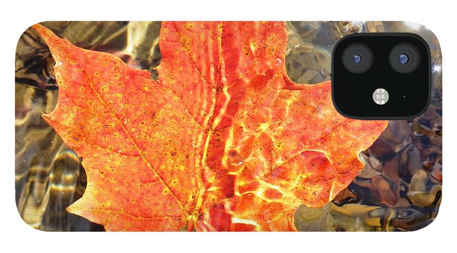 Leaf iPhone 12 Case featuring the photograph Autumn Reflections by Cristina Stefan