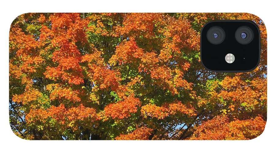 Autumn iPhone 12 Case featuring the photograph Autumn Splendor by Kathie Chicoine