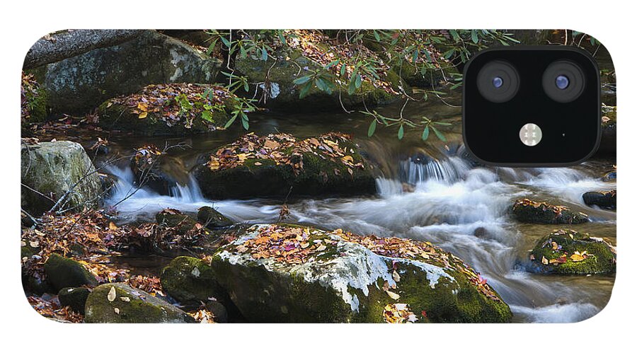 Leaves iPhone 12 Case featuring the photograph Autumn Stream by Carol Erikson